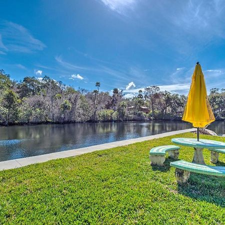 Withlacoochee River House With Dock And Kayaks! Yankeetown Exterior foto
